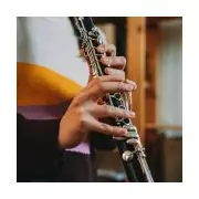 AI Lockdown at US School Over 'Gun' That Was a Clarinet