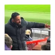 Amorim's dugout fury at Yoro captured in Man Utd 4-4 Bournemouth thriller