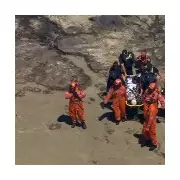 Austrian tourist, 25, rescued after 20ft cliff fall at Melbourne's Elephant Rock