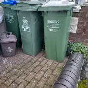 Bexley Festive Bin Collections: Christmas Tree Disposal & Recycling Guide