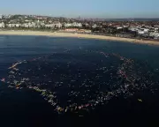 Bondi Beach Paddle-Out: Hundreds Form Ocean Circle in Tribute to Mass Shooting Victims