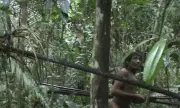 Brazil's Uncontacted Kawahiva Face Genocide as Land Demarcation Stalls