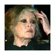 Brigitte Bardot Dies at 91: French Film Icon and Animal Rights Activist