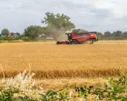 CO2 Rise Makes Food More Calorific But Less Nutritious, Study Warns