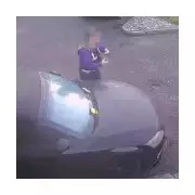 Croydon Council paints disabled bay around parked Audi, driver fined twice