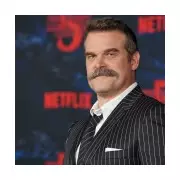 David Harbour Cancels Stranger Things Event After Bizarre Hat Incident