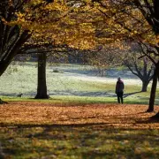 Discover Waterlow Park: The Perfect Boxing Day Walk in North London
