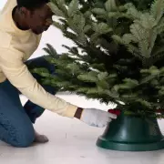 Don't Bin Your Tree! Make 'Amazing' Disinfectant Spray with 2 Ingredients