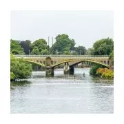 Drunk man pleads guilty to throwing kittens off Twickenham Bridge