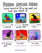 Forget Elf on a Shelf: Meet Australia's Festive Birds Perfect for Christmas