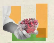 Freeze-Dried Fruit & Veg: Healthy Snack or Just Crisps in Disguise?