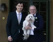 From PM's Cavoodle to VIP Pets: How Animals Are Stealing the Wedding Spotlight