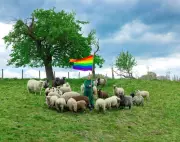 Gay Sheep Fashion Show in London Debuts Rainbow Wool Collection