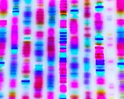 Gene Therapy Crisis: NHS Faces £1m+ Cures with No Business Model