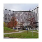 Glasgow Hospital Cremates Wrong Body After Mortuary Mix-Up