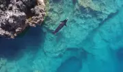 Greece's Monk Seals Face New Threat: Unregulated Tourism Jeopardises Recovery