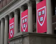 Harvard's Removal of Dr Mary Bassett Exposes Crisis in Human Rights and Academia