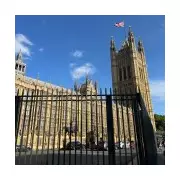 Intruder Breaches Parliament Security, Stopped by Workman