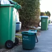 Islington Festive Bin Collection Changes: Dates & Tree Drop-Off Points