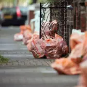 Lambeth Christmas Bin Collection Changes & Free Tree Recycling 2025