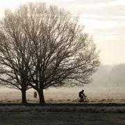 London's Christmas and New Year weather forecast promises dry, sunny days