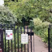 London's Tiniest Nature Reserve: A Secret Winter Walk in Islington