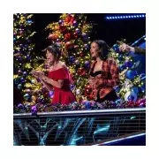 Masked Singer Host Joel Dommett Spills Celebrity Identity in Christmas Special Blunder