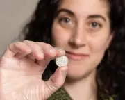 Norman Conquest Coin Hoard Valued at £4m to Go on Display in Bath