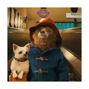 Paddington Leaves Netflix on Dec 31: Last Chance to Stream the 2014 Classic