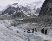 Peak Glacier Extinction in Alps by 2031, Study Warns
