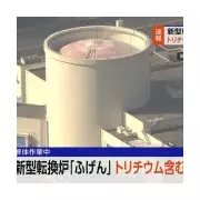 Radioactive Leak at Japan's Fugen Plant: Workers Feared Exposed