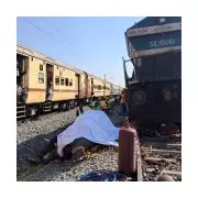 Seven Elephants Killed by High-Speed Train in India, 650 Passengers On Board