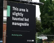 ‘Slightly Haunted’ Signs Spark Joy and Confusion in Christchurch