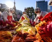 South Korea's RFID bins cut food waste by 24% in a decade