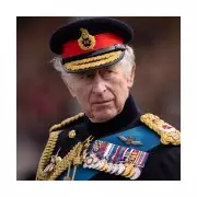 Stars Who Snubbed Royal Honours: Bowie, Sheen & More