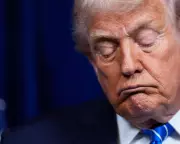 Trump's '95% Done' Ukraine Peace Claim Met with Scepticism and Doubt