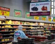 Trump's Tariffs: Why US Economy Hasn't Crashed Yet