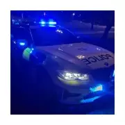 Two Teens Killed, One Critical After Tesla Crashes Into Tree in Hurst Green