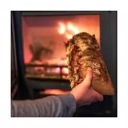 UK Government Targets Wood Burners and Open Fires in New Air Pollution Crackdown