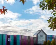 UK Retailers Pivot Back to Physical Stores, Defying Online Trends