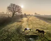 UK's Sunniest Year on Record in 2025, Solar Power Soars