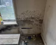 UN Experts Accuse L&Q of Systemic Housing Failures After Family's Ceiling Collapses