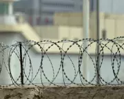 US Halts Deportation of Chinese Activist Who Filmed Xinjiang Camps