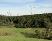 Victoria's First Public Wind Farm Powers Up in Latrobe Valley