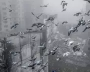 Zelenskyy Meets Macron in Paris Amid US Pressure for Ukraine Peace Talks