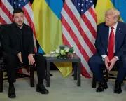 Zelenskyy to Meet Trump in Days as US Pushes for Ukraine Peace Deal