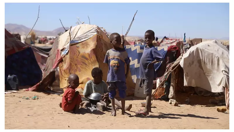 1,000 Days of War in Sudan: 70% Need Aid as Foreign Arms Fuel Conflict