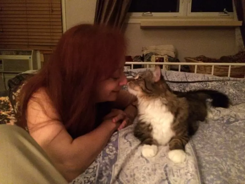 366-Day Search for Cats Lost in LA Wildfires: A Promise Kept