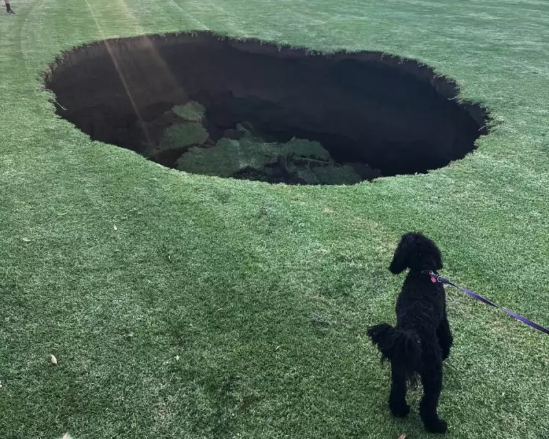 5-Metre Sinkhole Opens at Melbourne Oval Near $26bn Tunnel Works