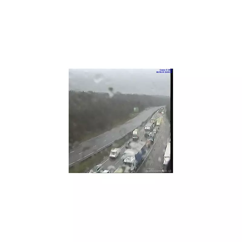 A3 chaos: Three horses killed in lorry collision near Burntcommon